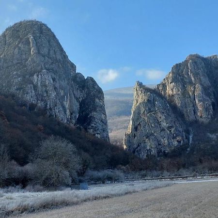 Golemi Kamik Pirot Vlasi Bagian luar foto