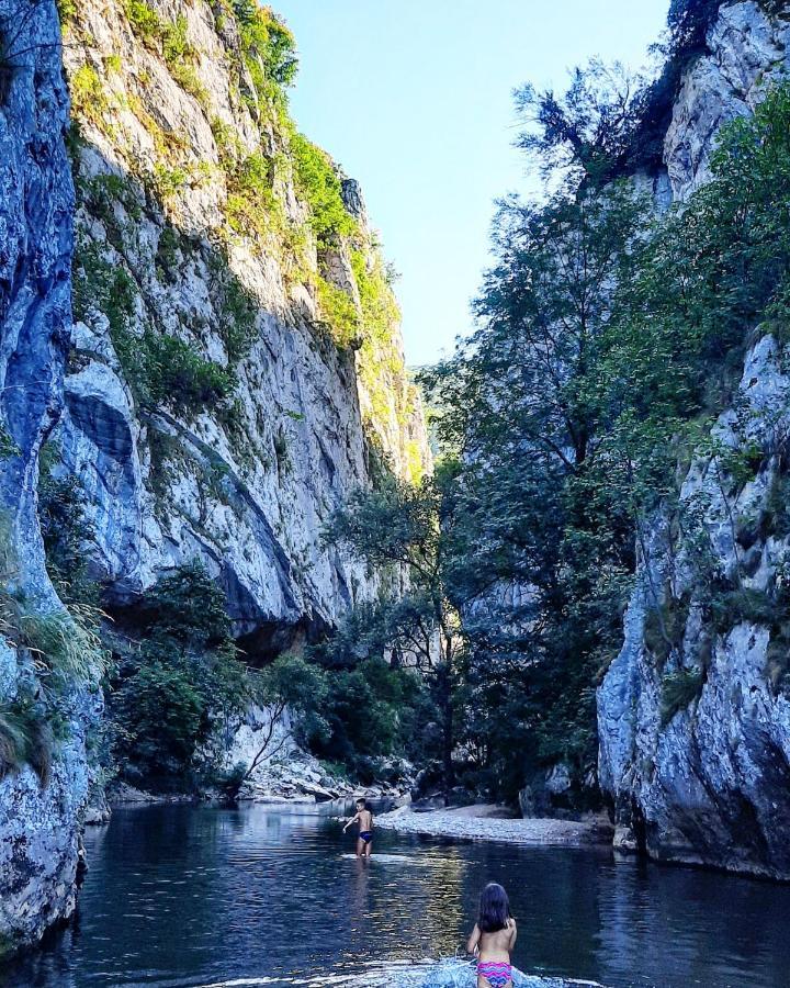 Golemi Kamik Pirot Vlasi Bagian luar foto