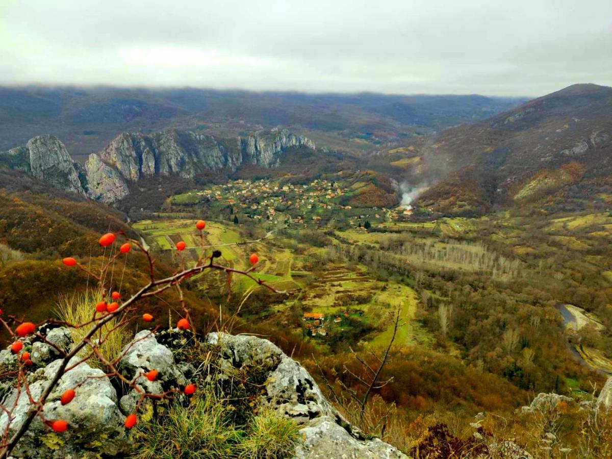 Golemi Kamik Pirot Vlasi Bagian luar foto