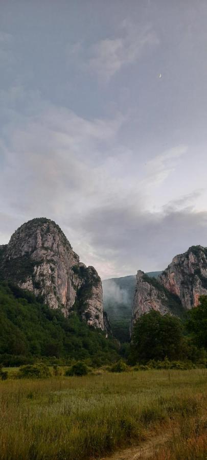 Golemi Kamik Pirot Vlasi Bagian luar foto