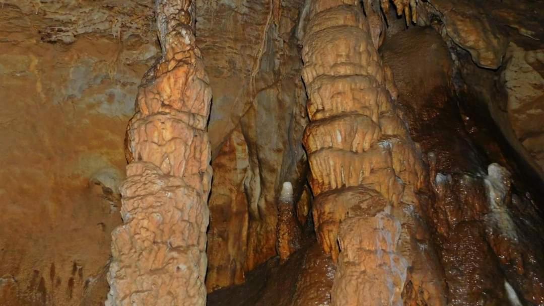 Golemi Kamik Pirot Vlasi Bagian luar foto