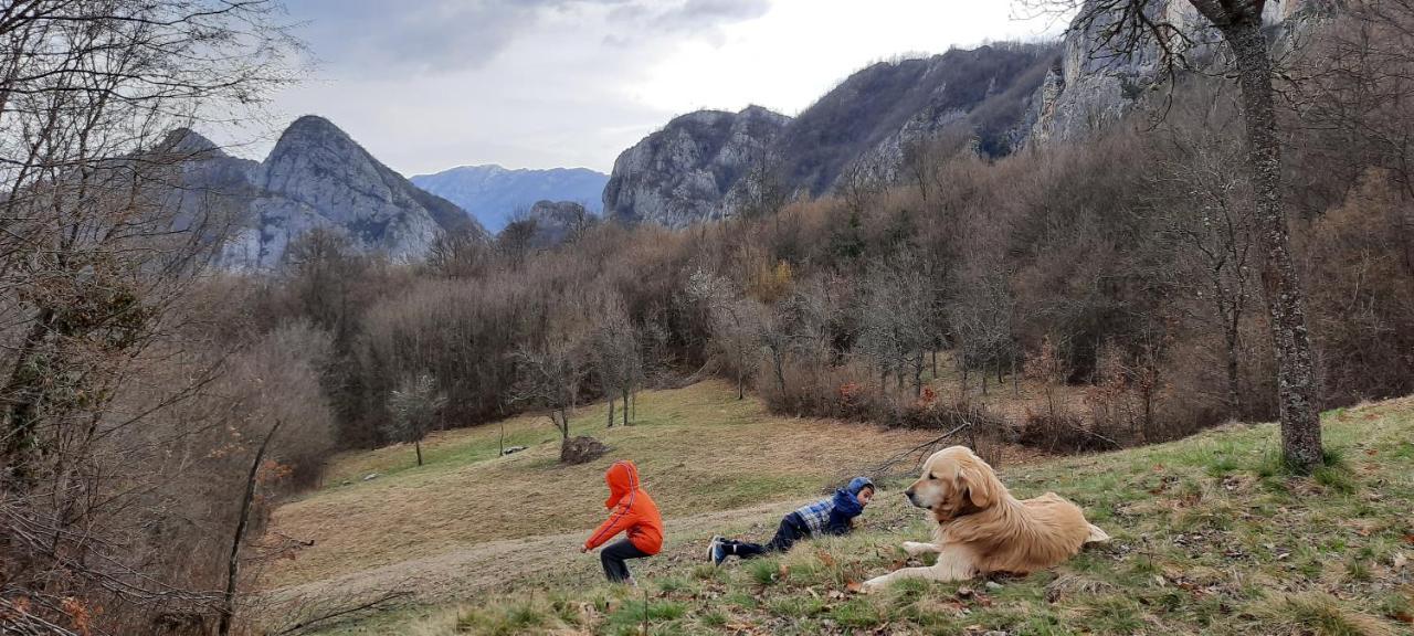 Golemi Kamik Pirot Vlasi Bagian luar foto