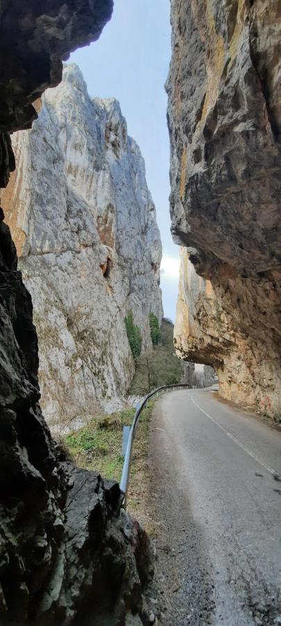 Golemi Kamik Pirot Vlasi Bagian luar foto