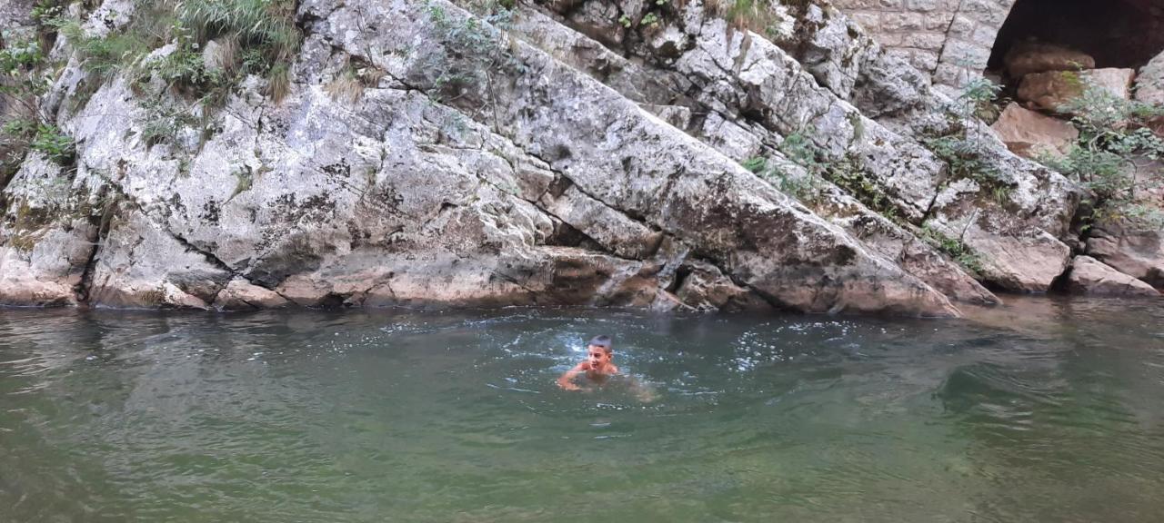 Golemi Kamik Pirot Vlasi Bagian luar foto