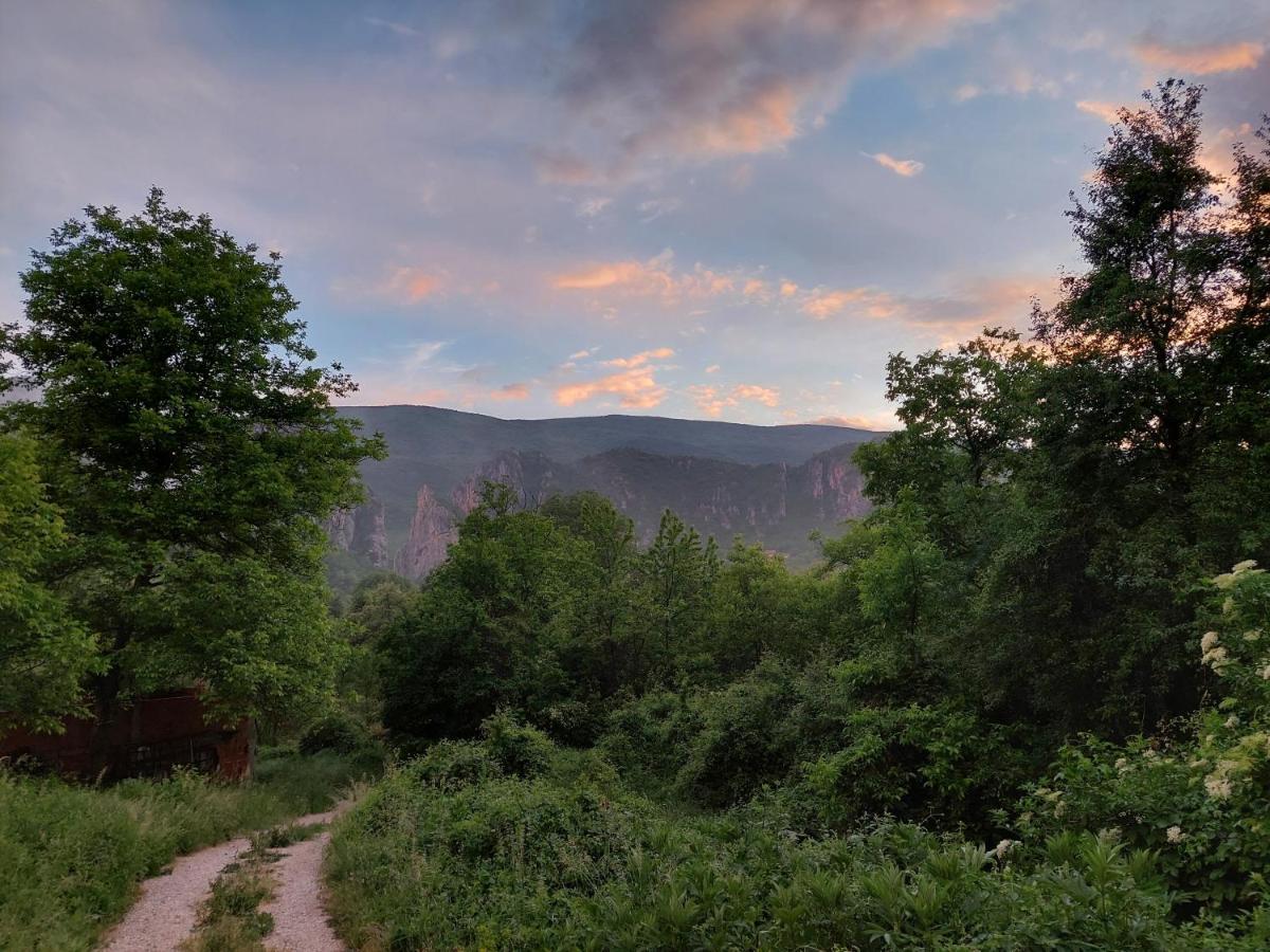 Golemi Kamik Pirot Vlasi Bagian luar foto