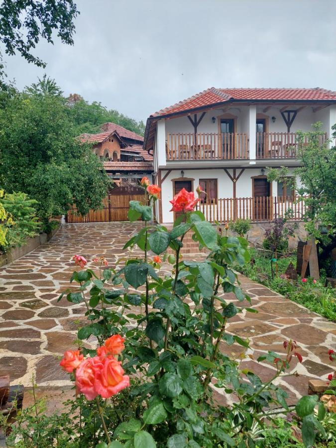 Golemi Kamik Pirot Vlasi Bagian luar foto