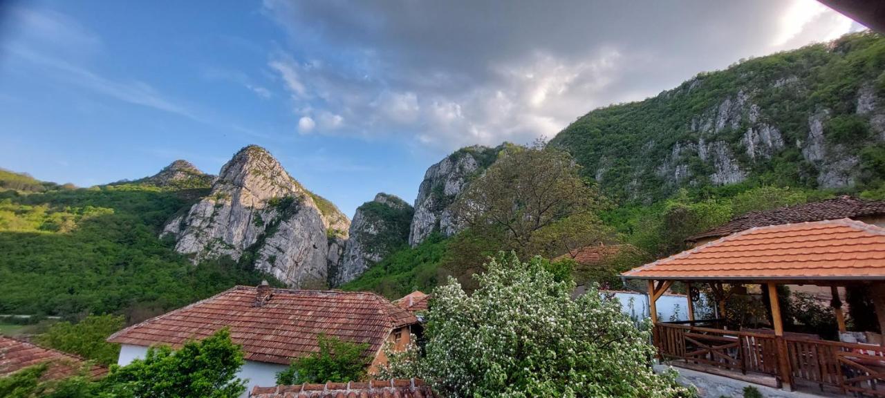 Golemi Kamik Pirot Vlasi Bagian luar foto
