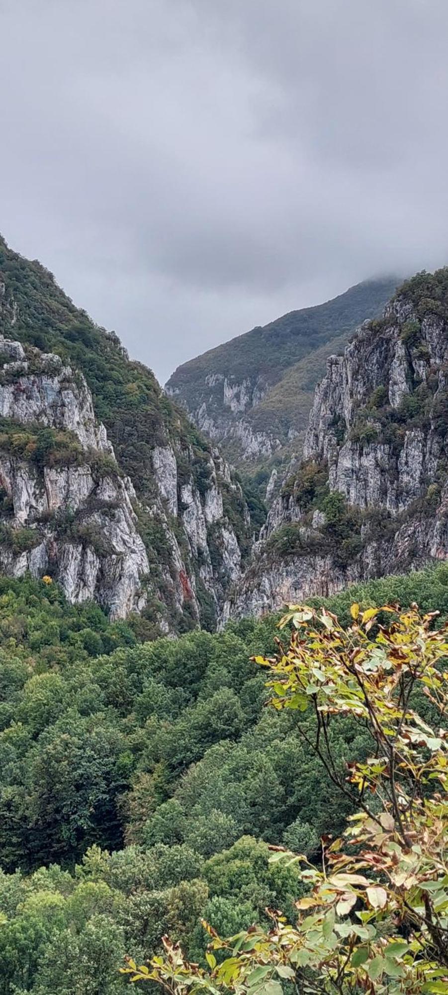 Golemi Kamik Pirot Vlasi Bagian luar foto
